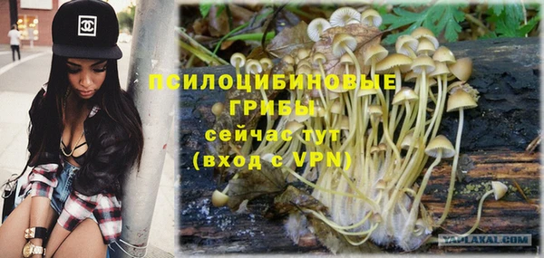 героин Алексин