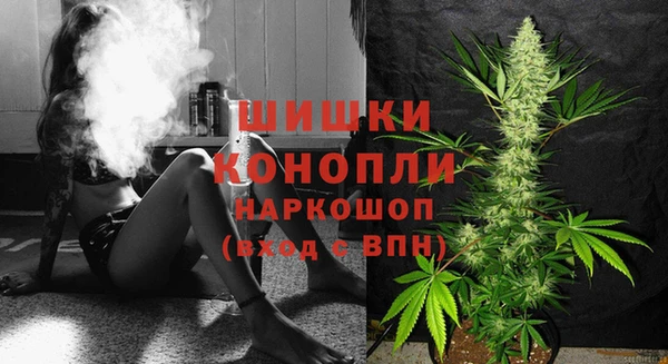 ПСИЛОЦИБИНОВЫЕ ГРИБЫ Алексеевка