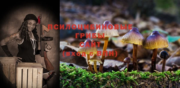 героин Алексин