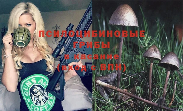 героин Алексин