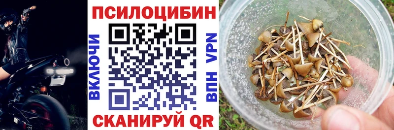 ссылка на мегу зеркало  Лодейное Поле  Галлюциногенные грибы мицелий  купить  цена 